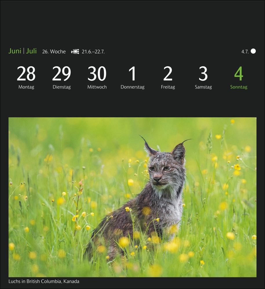 GEO Magische Natur Postkartenkalender