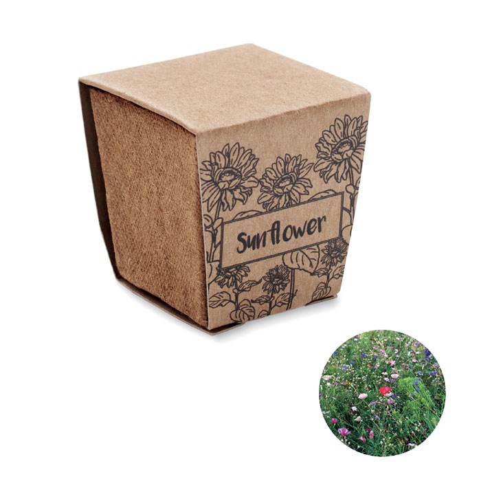 SUNFLOWER KIT - Pflanz-Set Sonnenblume