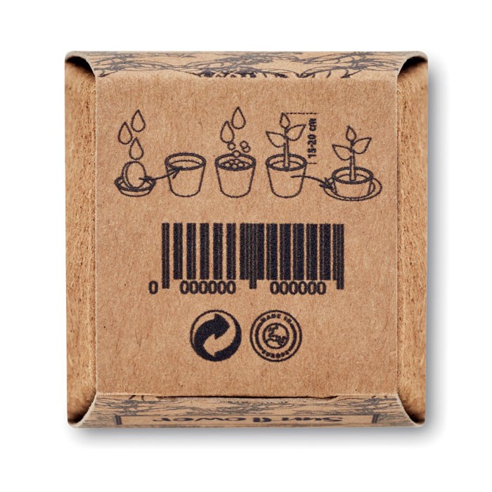 SUNFLOWER KIT - Pflanz-Set Sonnenblume