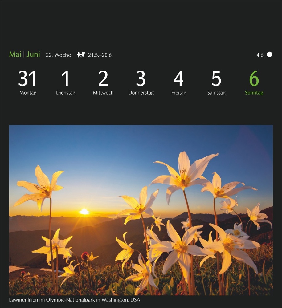 GEO Magische Natur Postkartenkalender