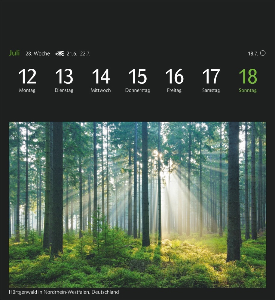 GEO Magische Natur Postkartenkalender