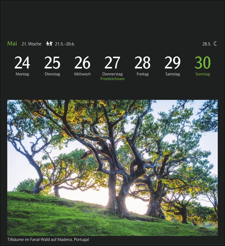 GEO Magische Natur Postkartenkalender