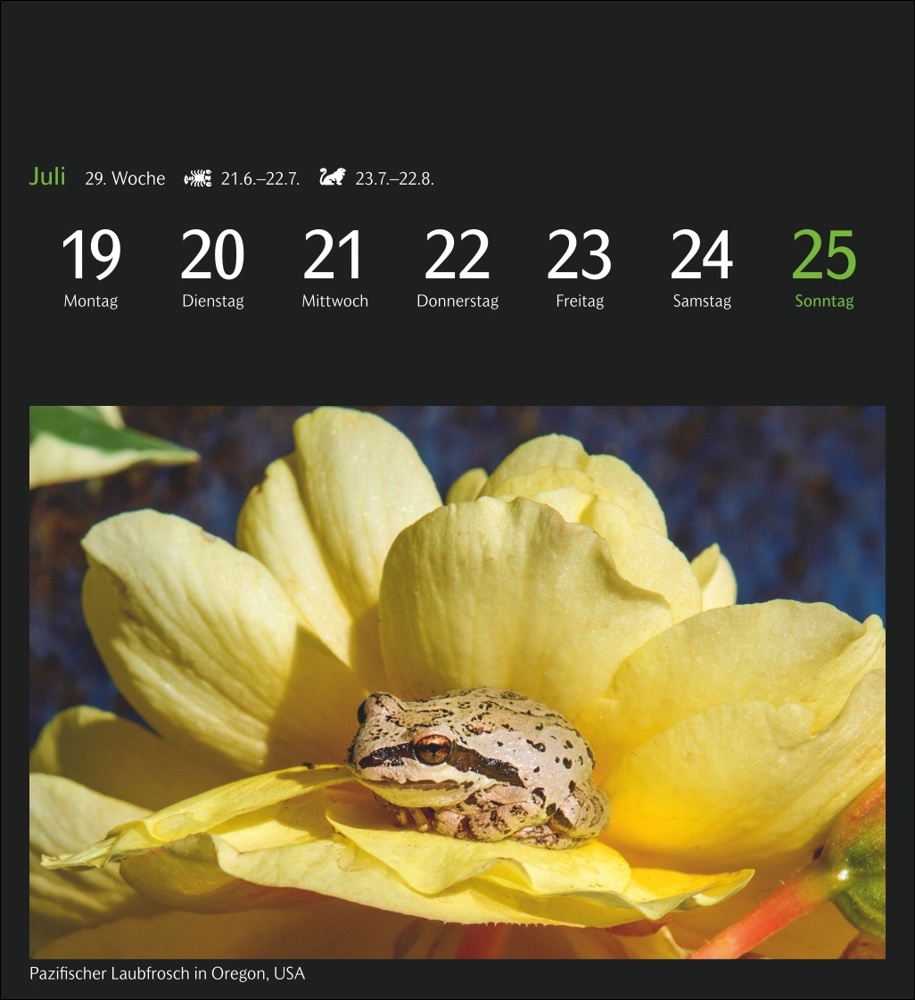 GEO Magische Natur Postkartenkalender