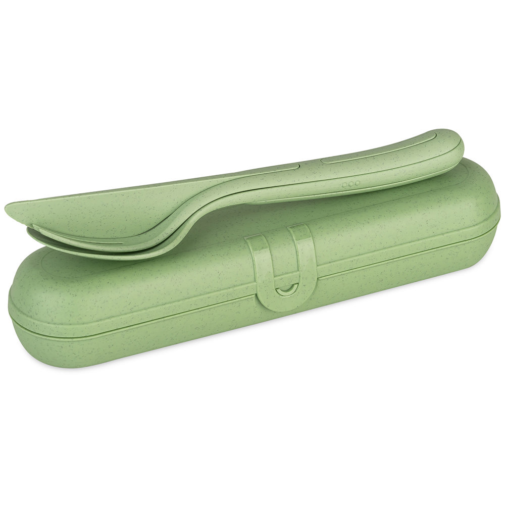 nature leaf green